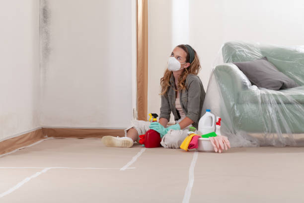 Reliable Mold Remediation contractor in Baldwinsville, NY by 24 Hour Mold Removal